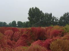 -汉长安城未央宫国家考古遗址公园