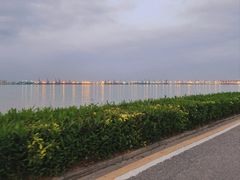 -海鸥岛