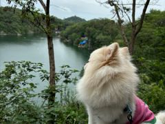 -南山风景名胜区