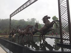 -颐和澜悦欢乐水世界(原颐和温泉城)