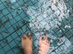 -水立方嬉水乐园