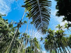 -中国科学院西双版纳热带植物园