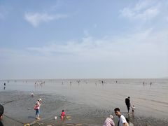 -南汇嘴观海公园