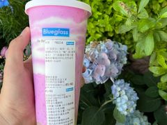 -Blueglass酸奶(华贸购物中心店)