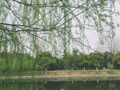 -美兰湖景区