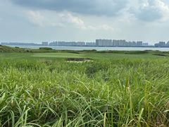 -金鸡湖高尔夫会员专属俱乐部