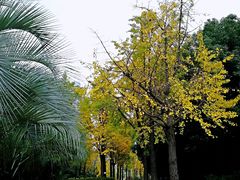 -苏州河梦清园环保主题公园