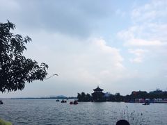 -南湖国家城市湿地公园