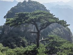 -圣莲山风景区