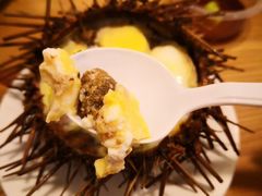 -海胆小馆(东北水饺·春柳店)