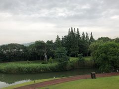 -上海佘山世茂艾美酒店