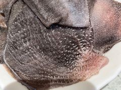 -玉林串串香(九号天地店)