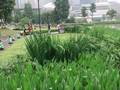 -花果园湿地公园
