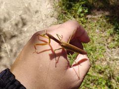 -碓臼峪自然风景区