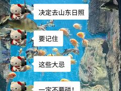 -日照灯塔风景区