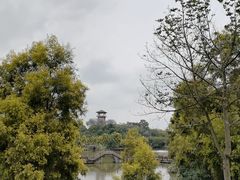 -张坝桂圆林公园