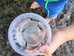 -寨沙侗寨(侗族歌堂)