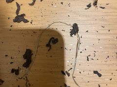 -华联发展销售中心(十月初五街店)