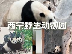 -青藏高原野生动物园