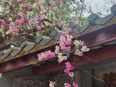 -深圳国际园林花卉博览园