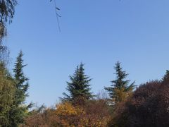 -城市运动公园(未央区)