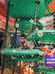 点击看大图 -恐龙探索乐园(磁器口店)