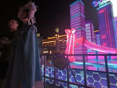 -亭林园-华藏寺