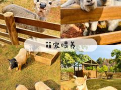-栖露营camping·天幕烧烤·团建拓展·采摘营地