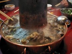 -大凉山小会理生态餐