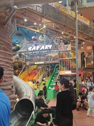 -卡通尼·Safari非洲探索乐园·生日会(金桥国际商业广场店)