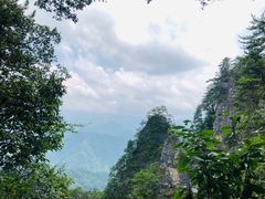 -光雾山旅游景区