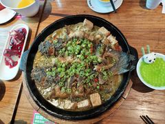 -老板恋上鱼(恒隆广场店)