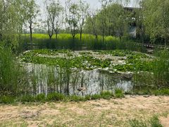 -永定河休闲森林公园