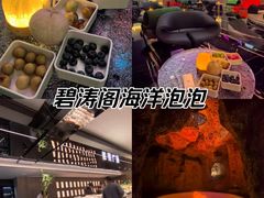 -碧涛阁·泡泡海洋·汤泉洗浴(王府花园店)