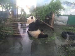 -无锡动物园·太湖欢乐园