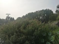 景点-郭守敬纪念馆