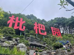 -枇杷园食为鲜火锅(南山店)