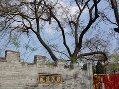 -大槐树寻根祭祖园