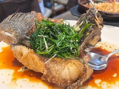 -熠盛粤味·顺德桑拿鸡(永康路店)