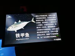 -太平洋海底世界