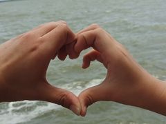 -同里湖大饭店-怡景轩中餐厅(同里古镇店)