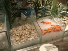 -龙城咖啡厅(常州富都洲际店)