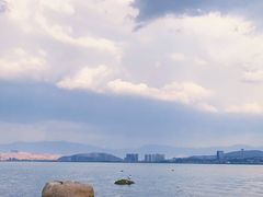 -洱海月湿地公园