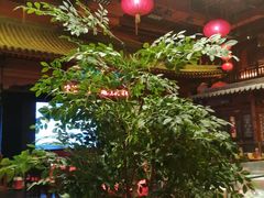 -正阳门饭庄·烤鸭·北京菜(万丰路七里庄店)