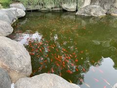 -中国唐苑