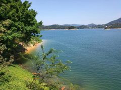 -广州市流溪河国家森林公园