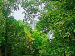 -长白岛森林公园