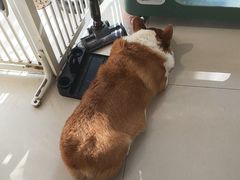-平行世界·猫咖(首经贸店)