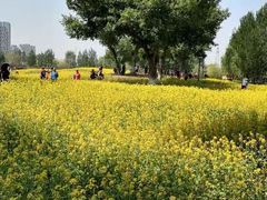 -长白岛森林公园