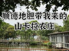 -陶缘一号·四季缘·老字号顺德菜·户外婚礼家宴(西滘店)